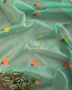 Mint Green Kora Jamdaani Saree with a beautiful Sequins Handwork Blouse