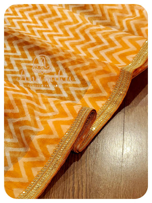 Organza Saree with Chevron pattern and ikkat blouse