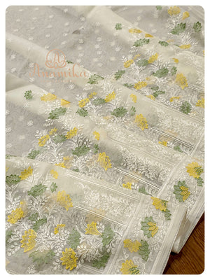 Cream Organza Chikankari with Blouse