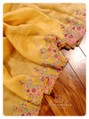 Yellow Organza Saree with Thread work border - with a yellow handwork blouse