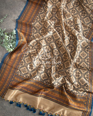 Tussar silk saree paired with a beautiful contrast black blouse