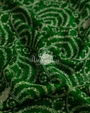 Green Banarasi Chiffon saree with all over embroidery work