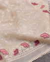 Porcelain White Organza saree with all over chikankari work and a stunning designer blouse
