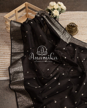 Black Chanderi saree with a beautiful black blouse