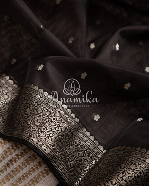Black Chanderi saree with a beautiful black blouse