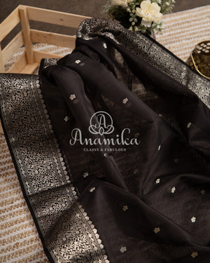 Black Chanderi saree with a beautiful black blouse