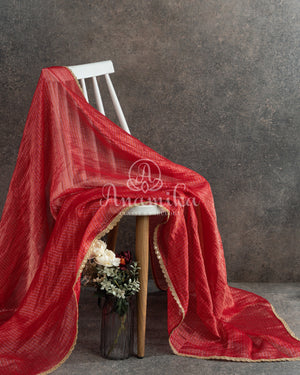 Red Chanderi Tissue Saree with hand work blouse