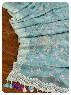 Blue Organza Chikankari with Scallop Border