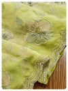Pastel Green Organza Saree with Threadwork blouse