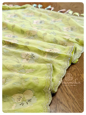 Pastel Green Organza Saree with Threadwork blouse