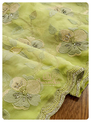Pastel Green Organza Saree with Threadwork blouse