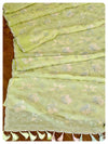 Pastel Green Organza Saree with Threadwork blouse