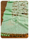 Green Floral georgette with chikankari border